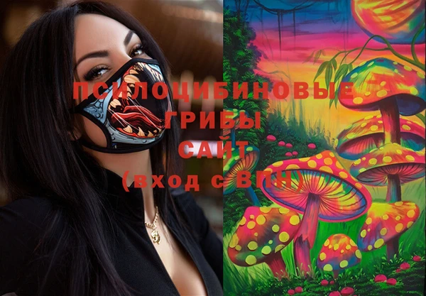 твердый Алексеевка
