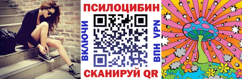mega вход как найти наркотики Туринск Псилоцибиновые грибы Cubensis
